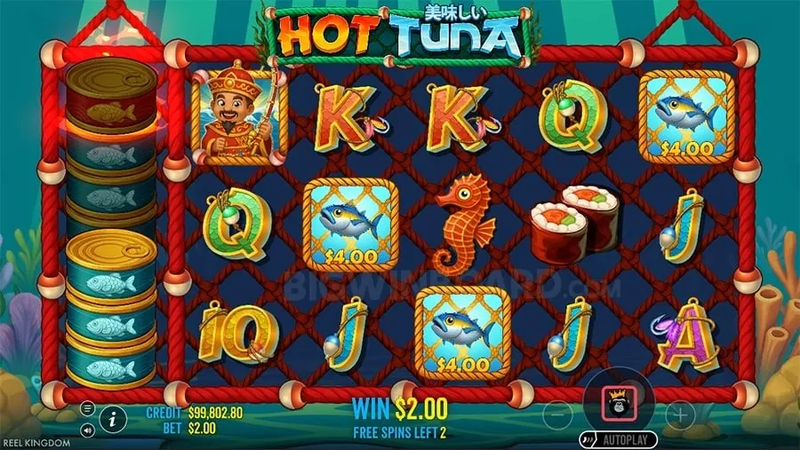 jili678 Sic Bo Betting Strategies